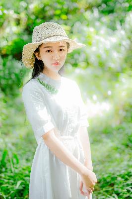 完美世界全集免费观看